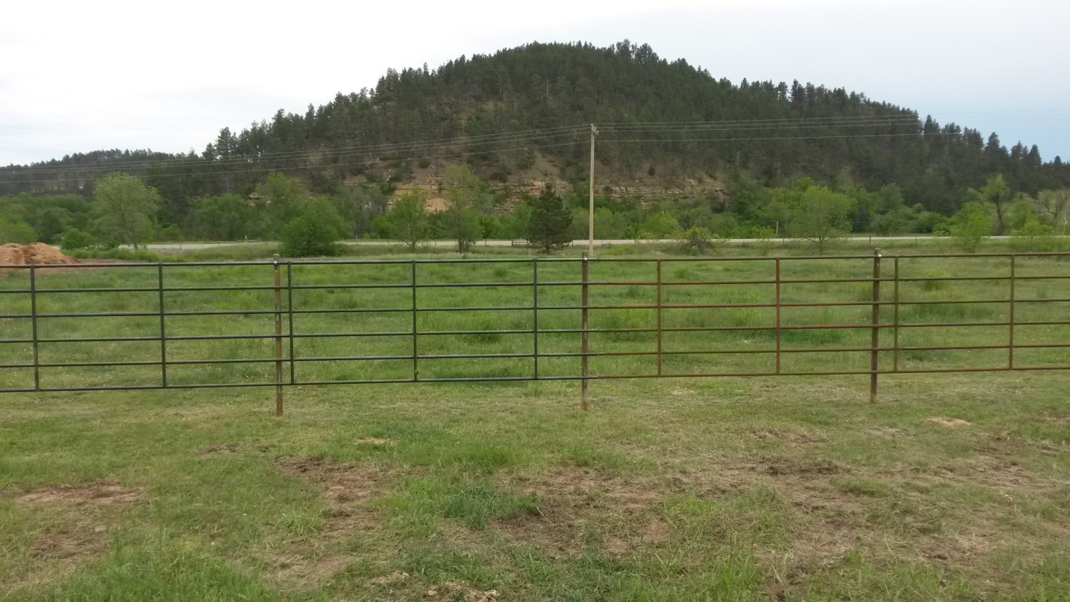 Bechen Fencing cattle fences