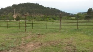 Cattle Fencing in Rapid City