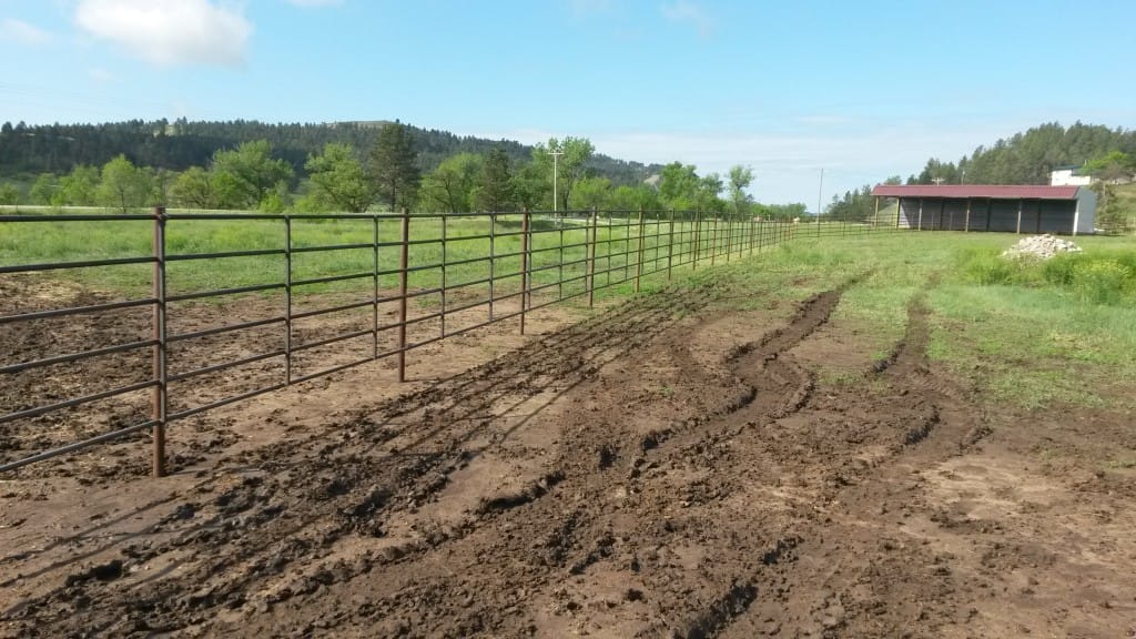 Farm Fencing for Cattle Bechen Fencing