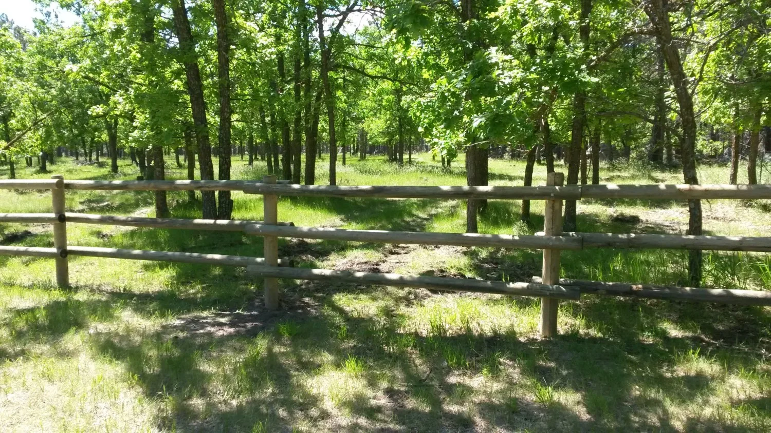 Rapid City Fencing wood fence installation