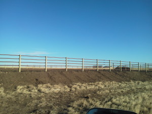 Bechen Fencing Farm Fences